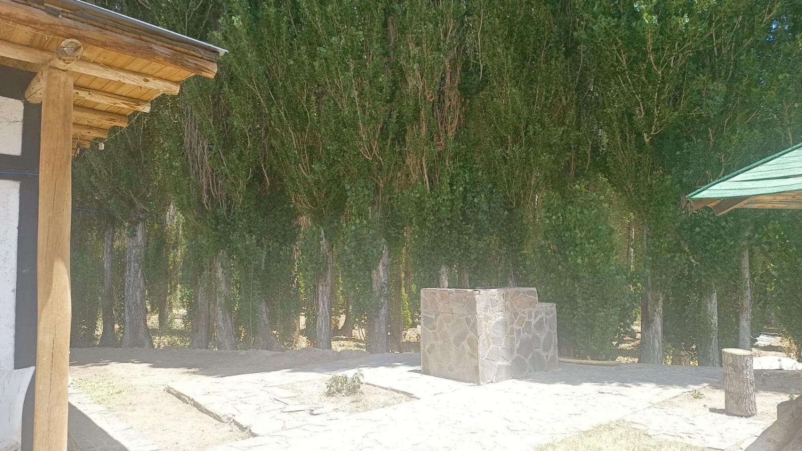 Cabanas De Los Andes 乌斯帕亚塔 外观 照片