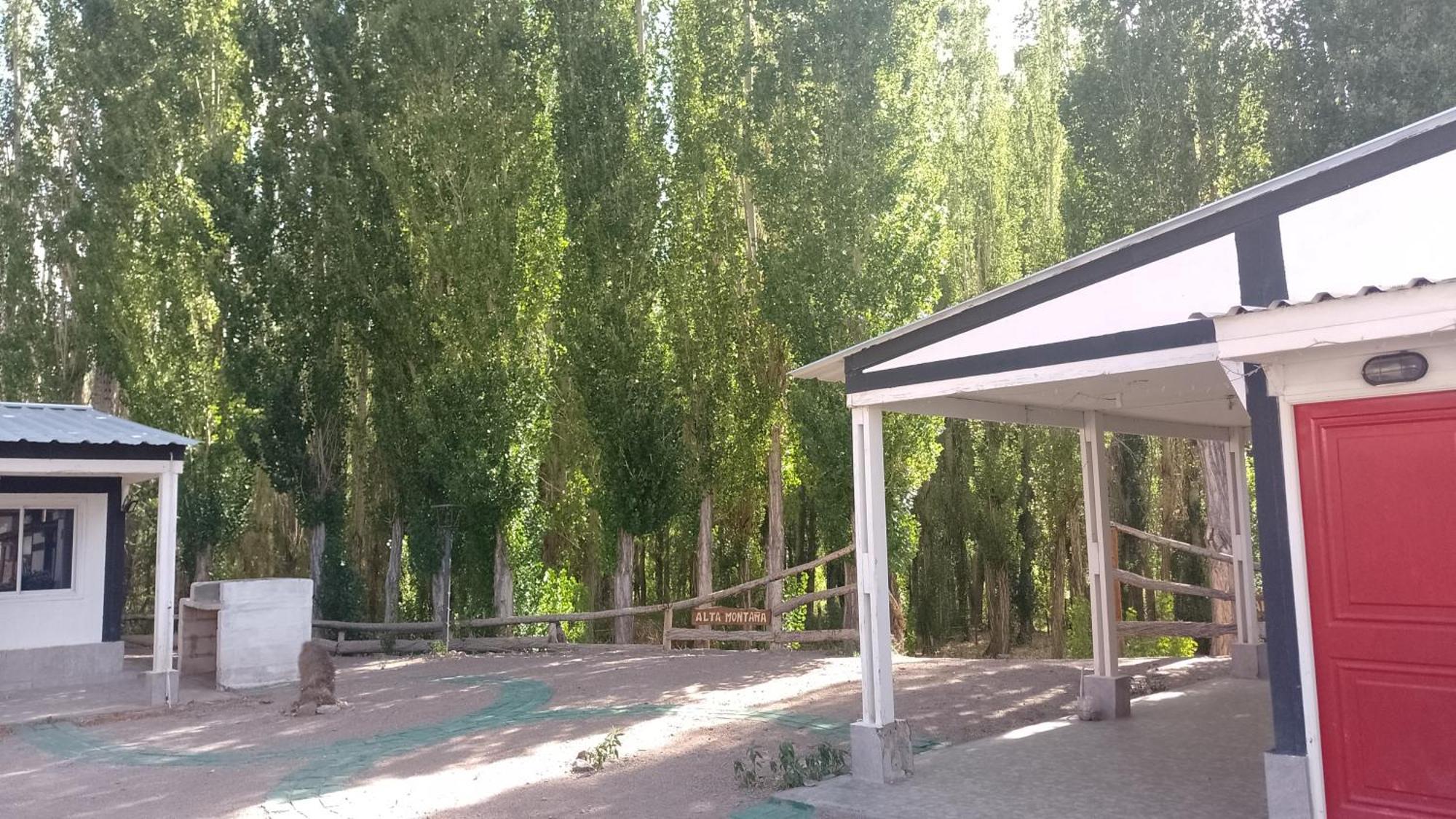 Cabanas De Los Andes 乌斯帕亚塔 外观 照片