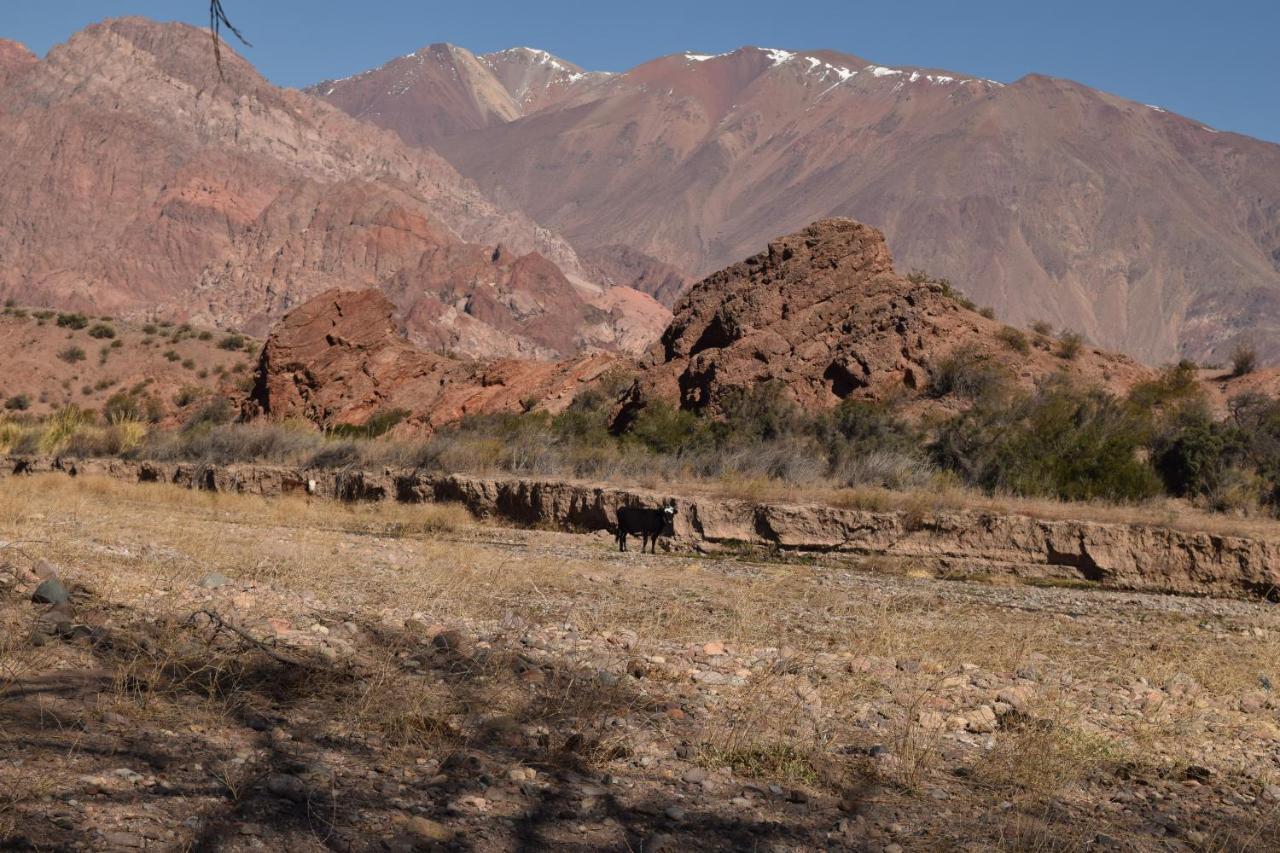 Cabanas De Los Andes 乌斯帕亚塔 外观 照片